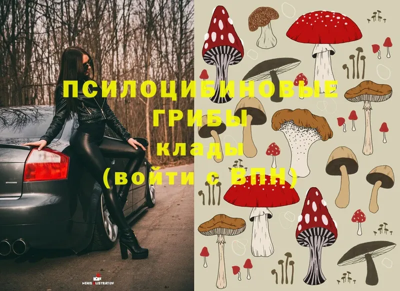 купить   Сим  Псилоцибиновые грибы Magic Shrooms 